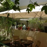 Mouraria new umbrellas 7 new Mouraria new umbrellas 7 new